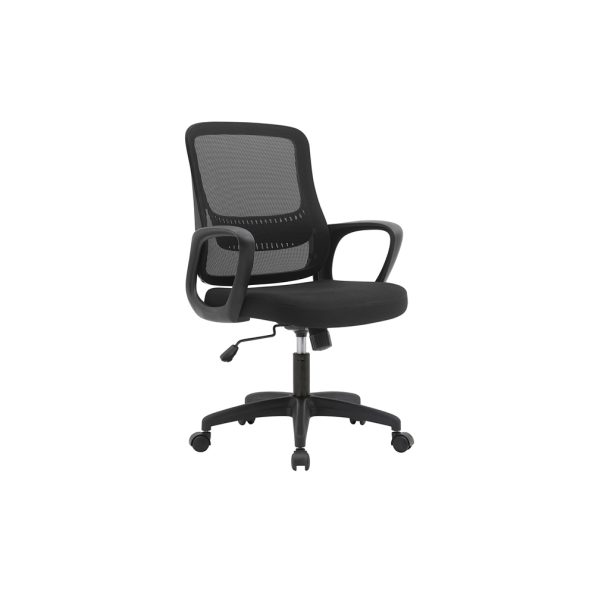Back Chair